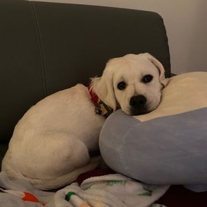 Meet your Posher, Kyla